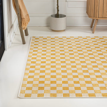 Aimee Traditional Cottage Checkerboard Indoor/Outdoor Area Rug